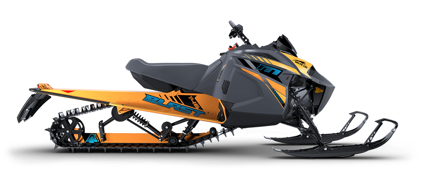 Mid Sized Arctic Cat