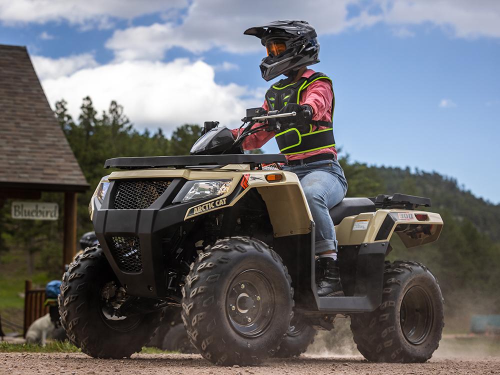 Alterra 300 mid size atv / utv for sale