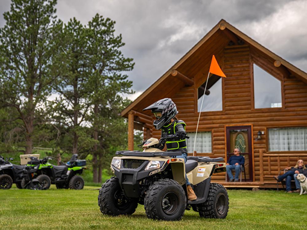 Arctic Cat Alterra 90