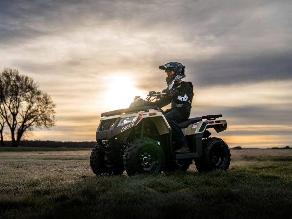 Alterra 300 ATV