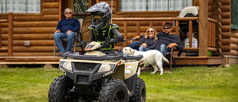 Arctic Cat Alterra 90 kids / child ATV / UTV for sale