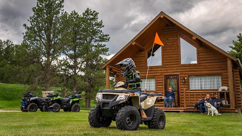 Arctic Cat Alterra 90 Child / kids ATV for sale