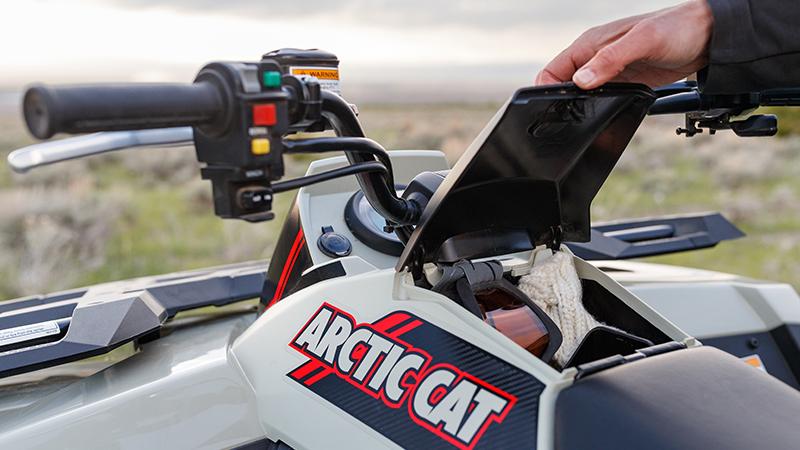 Alterra 600 ATV Storage